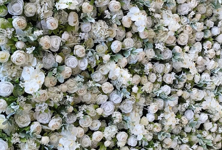 flower-backdrop-witte-bloemen
